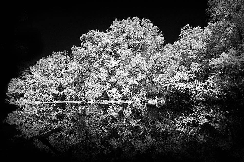 Reflections