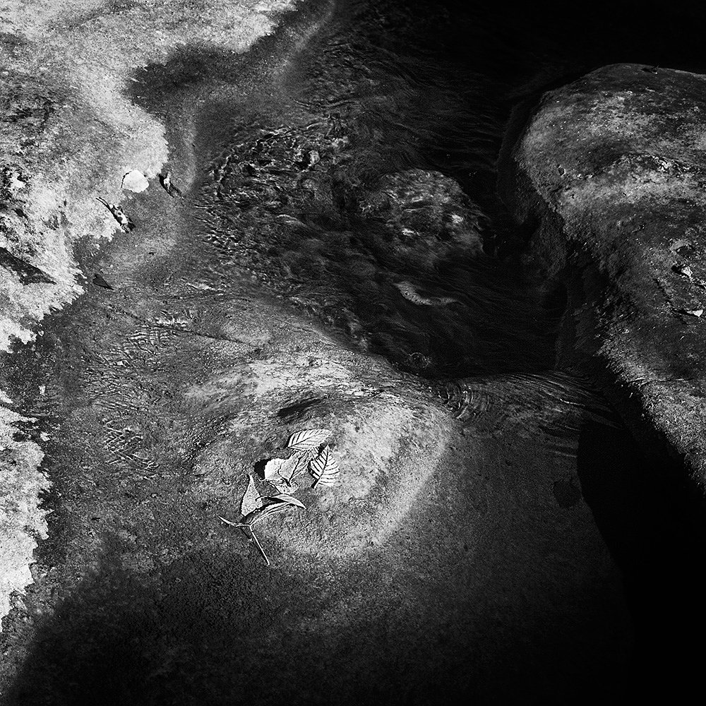 Something In The Water