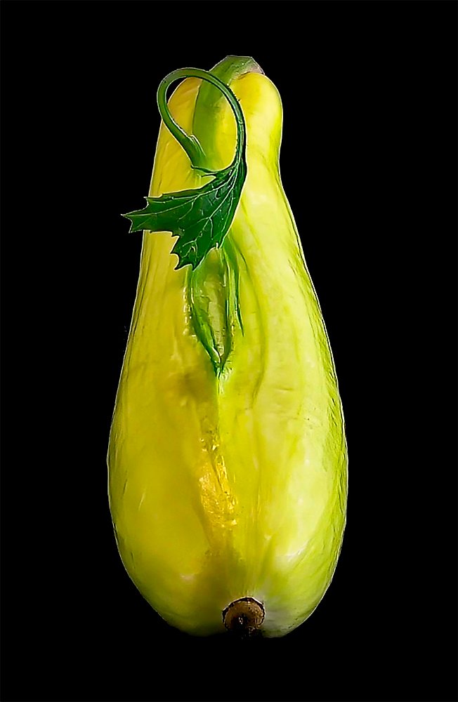 Yellow Squash