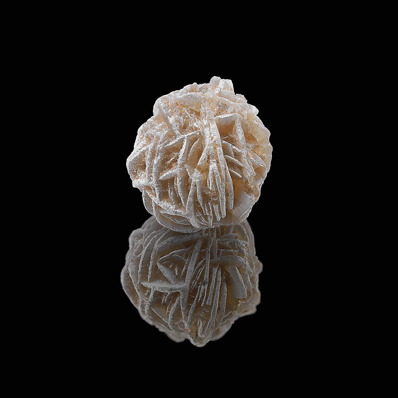 Desert Rose (also called  sand rose, Sahara rose, rose rock, selenite rose, gypsum rose, or baryte rose) in Oklahoma was formed during the Permian Period, 250 million years ago, when western and central Oklahoma was covered by a shallow sea. As the sea retreated, baryte precipitated out of the water and crystallized around grains of quartz sand.