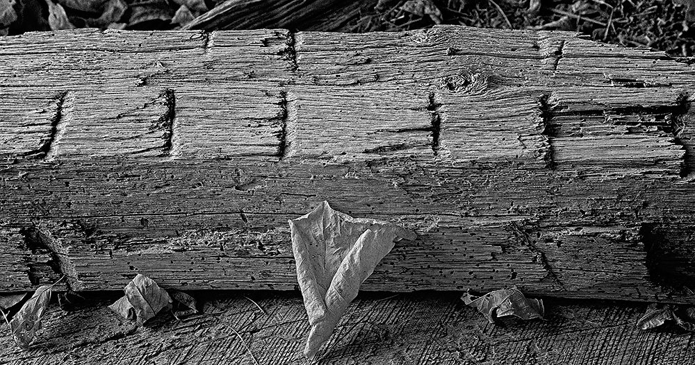 Hand Hewn Barn Beam